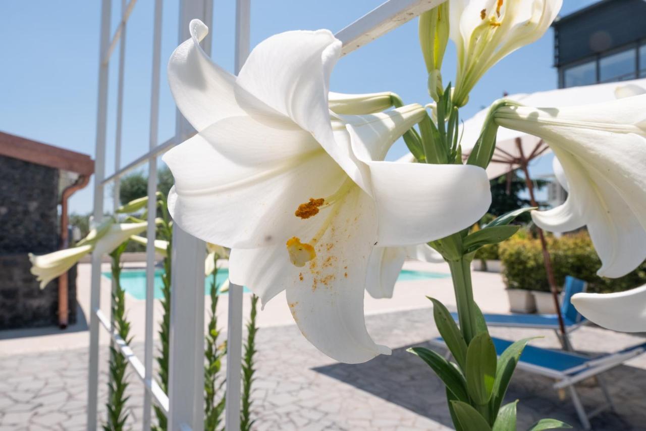 Lux Suite Sicily Mascalucia Ngoại thất bức ảnh